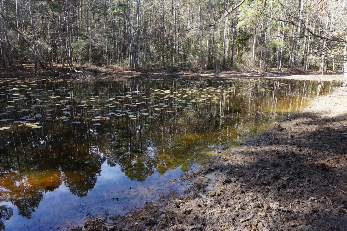 0 County Road 352, Palestine, TX 75803 - #1