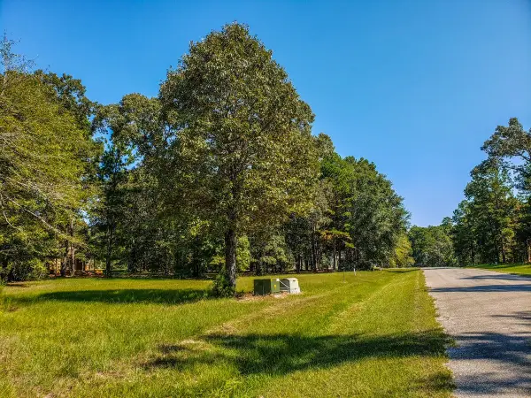 96 N Forest Drive, Huntsville, TX 77340