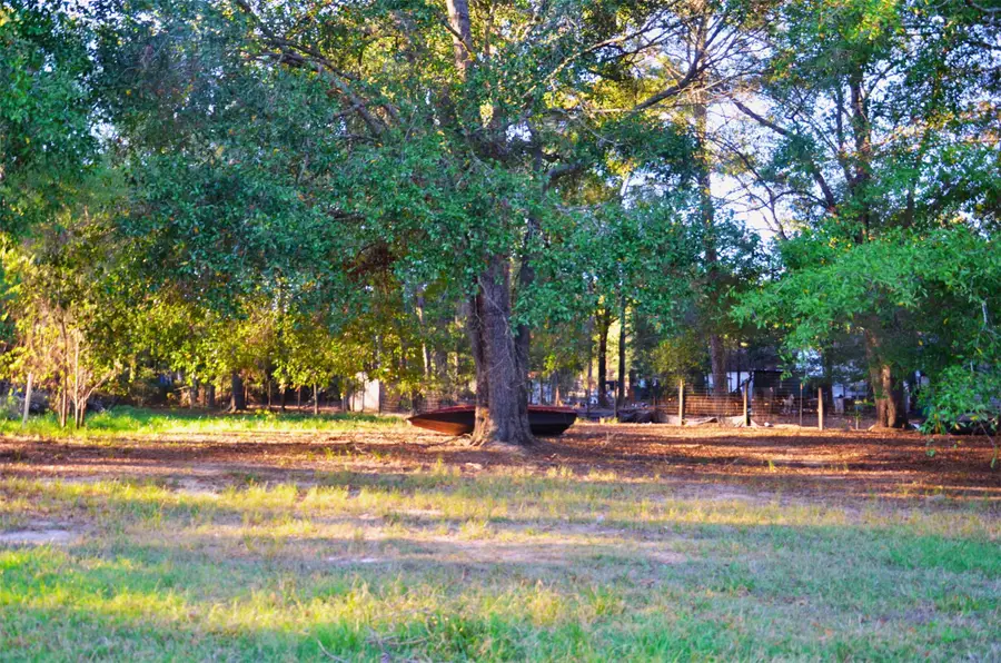 161 Woodman Drive, Cleveland, TX 77328 - Image #3