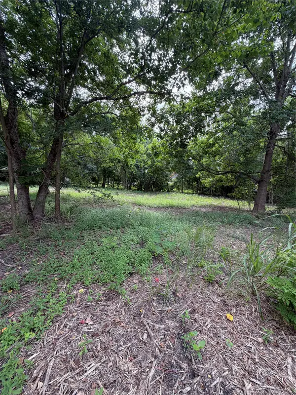 13515 Canterwell Road, Houston, TX 77047