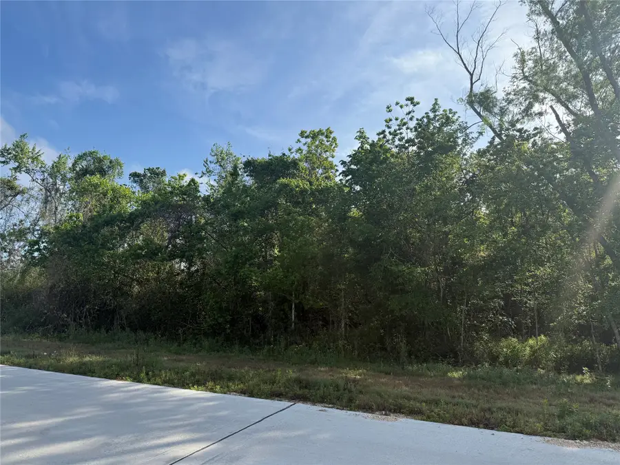 2211 Waco St, Dayton, TX 77535 - #2