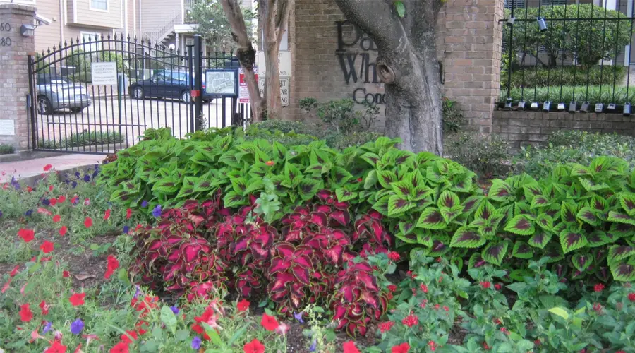 1860 White Oak Drive #207, Houston, TX 77009 - #2