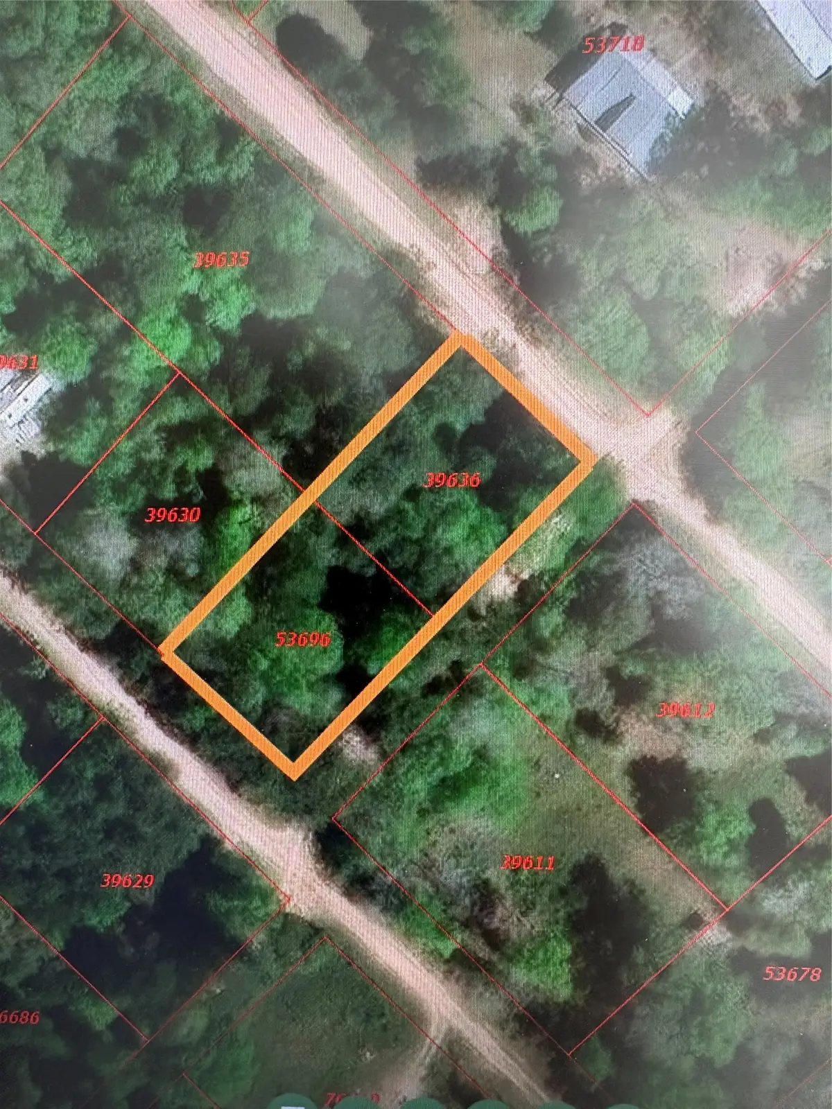 TBDD Margie Drive, Livingston, TX 77351 - #1