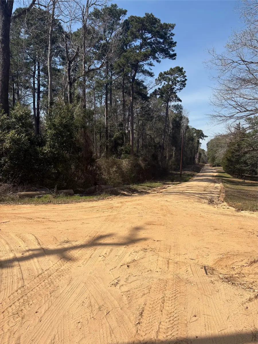 TBDD Margie Drive, Livingston, TX 77351 - #3