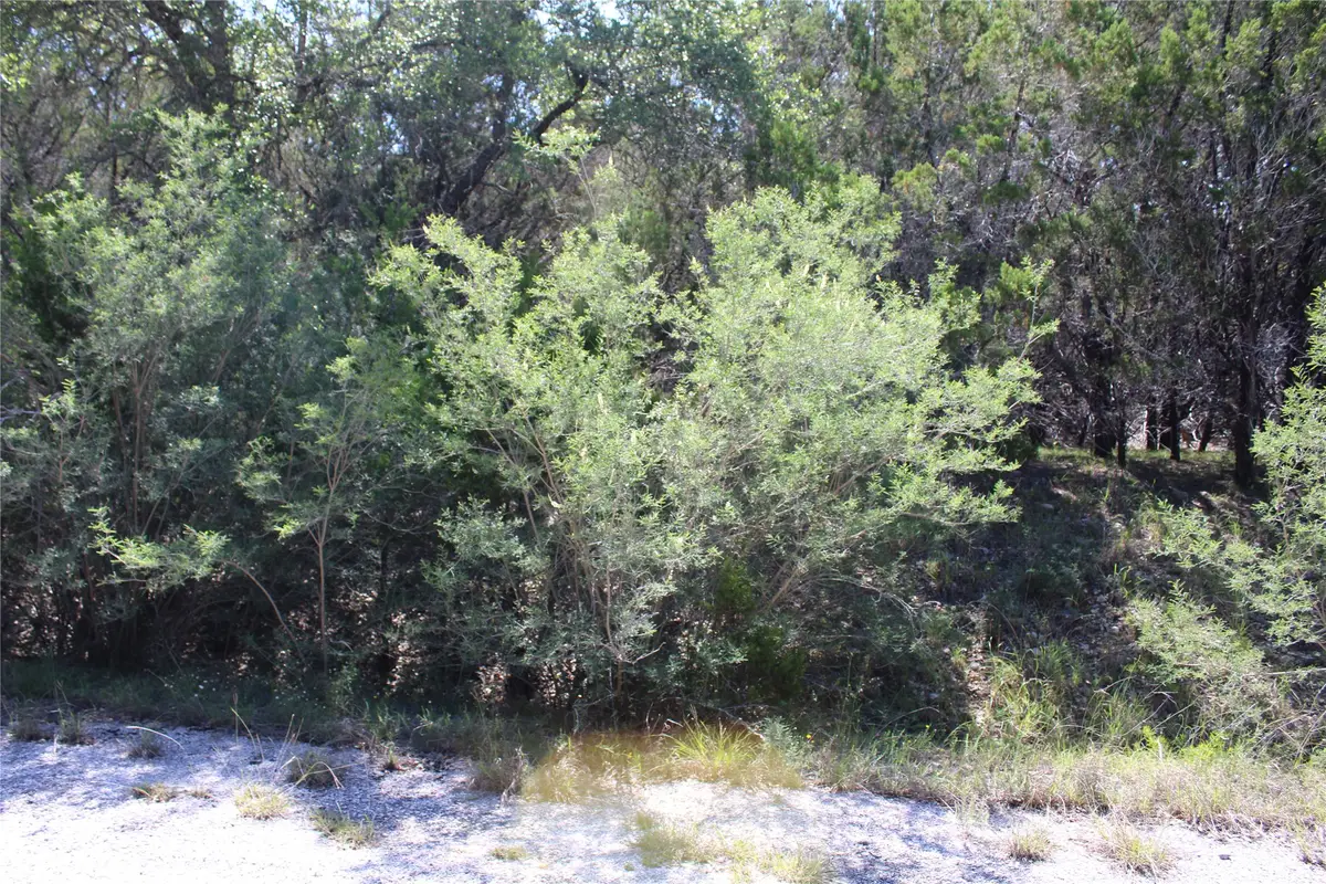 8207 Cedar Glen Cove, Leander, TX 78645 - #1