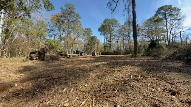 TBD Beech Drive, Montgomery, TX 77316 - #2