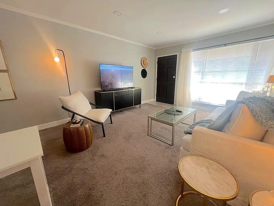 2507 Montrose Boulevard #11, Houston, TX 77006 - Image #3