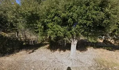 723 Macek Road, Richmond, TX 77469