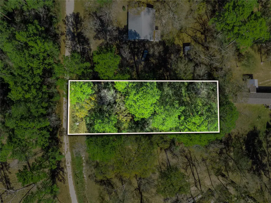 0 Fox Fire Drive, Plantersville, TX 77868 - #2