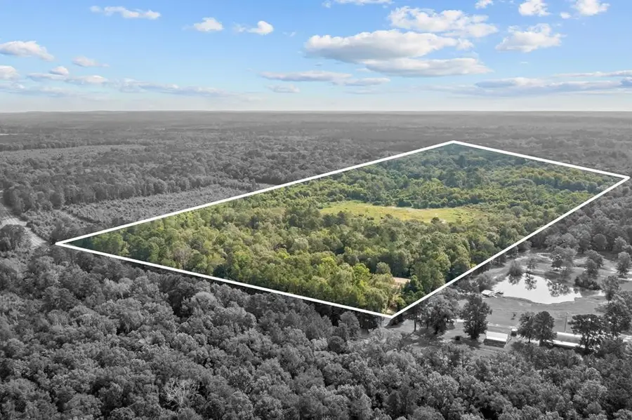 12710 Fm 692, Burkeville, TX 75932 - #2