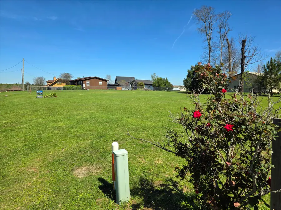 177 6th Avenue, Onalaska, TX 77360 - #2