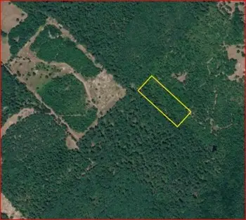 0 County Road 1655, Crockett, TX 75835 - #1