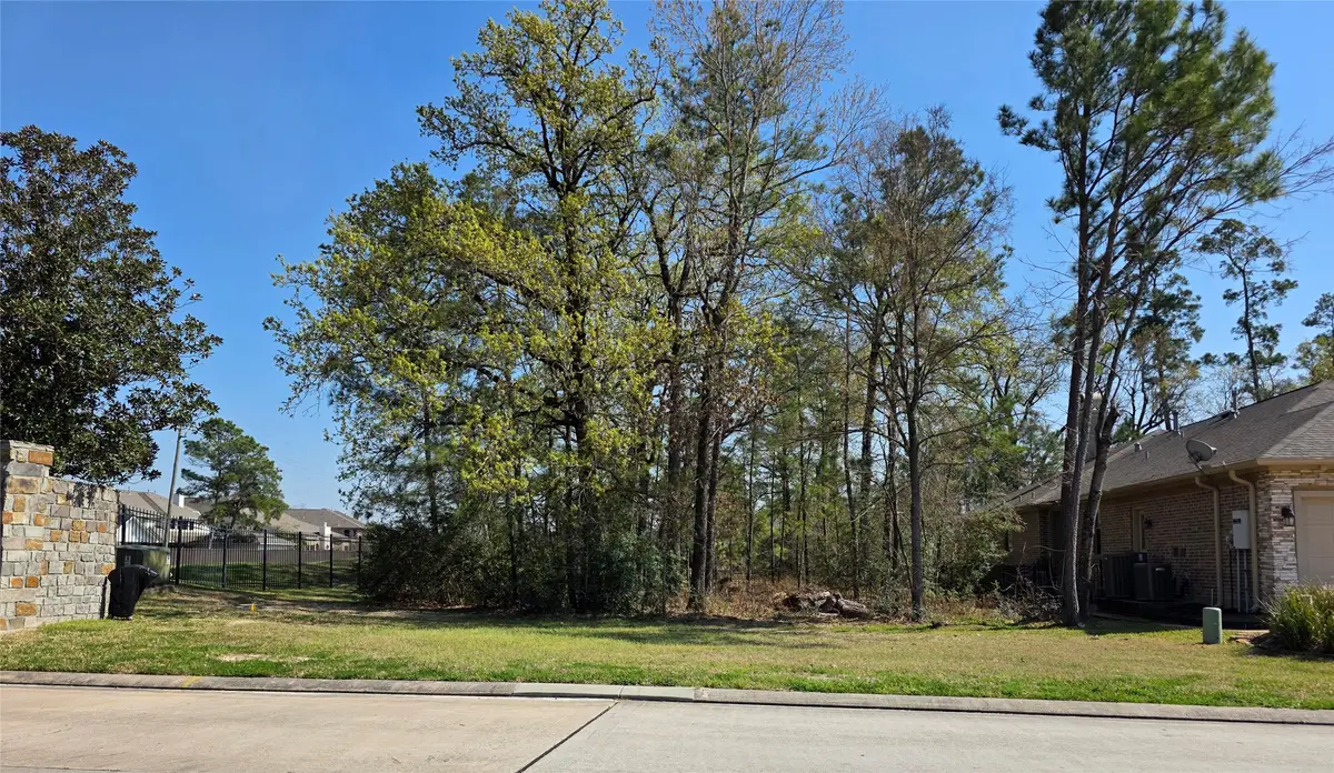 25103 Arcane Court, Spring, TX 77389 - #1