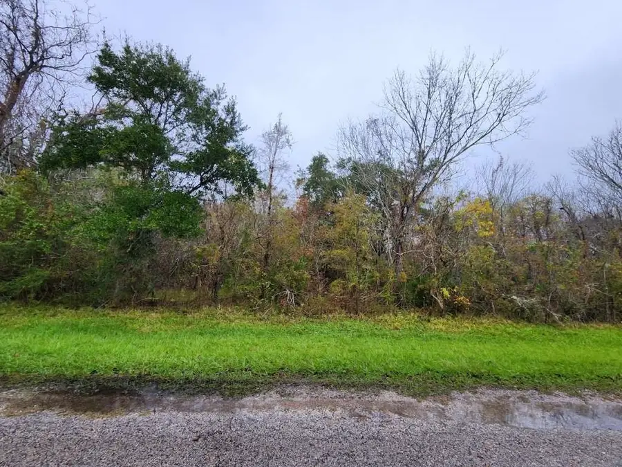 0 County Road 279 Road, Cedar Lake, TX 77414 - Image #2