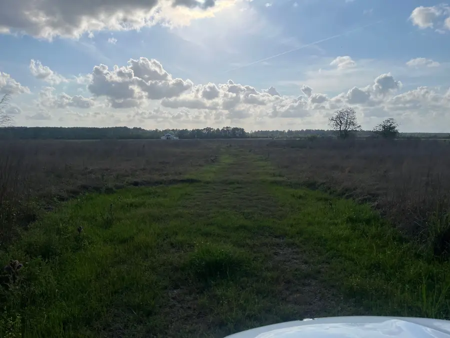 509 County Road 2285, Cleveland, TX 77327 - #2