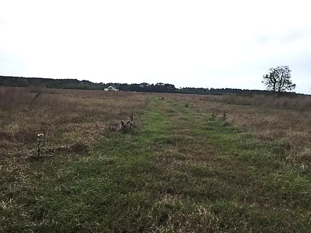 509 County Road 2285, Cleveland, TX 77327 - #3