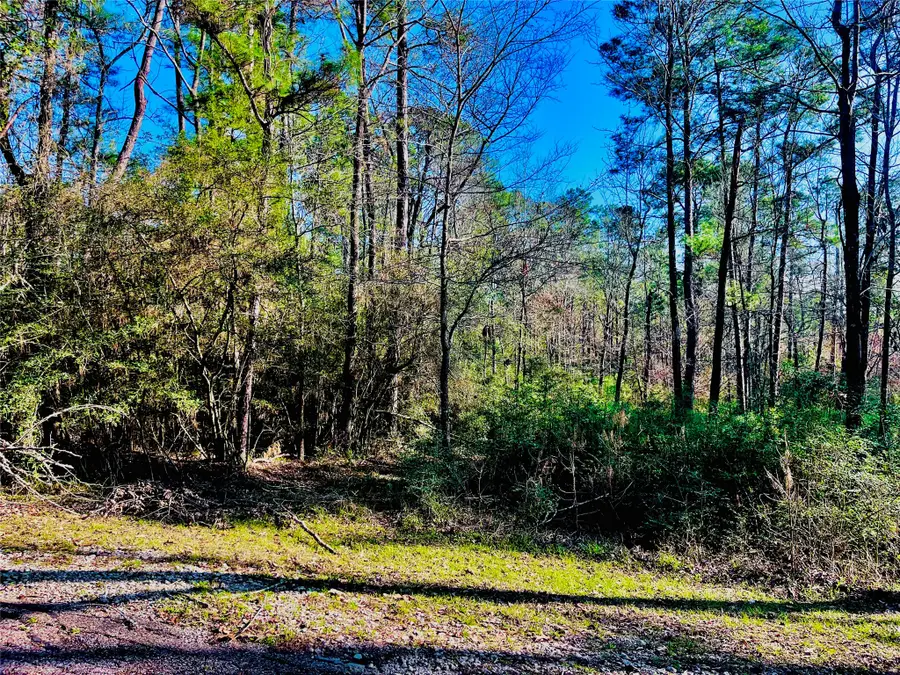 23 Wentworth Ln, Coldspring, TX 77331 - #2