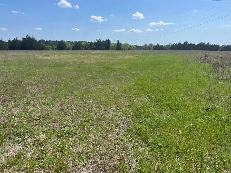 00012 Cr 218 Road, Anderson, TX 77830 - #3