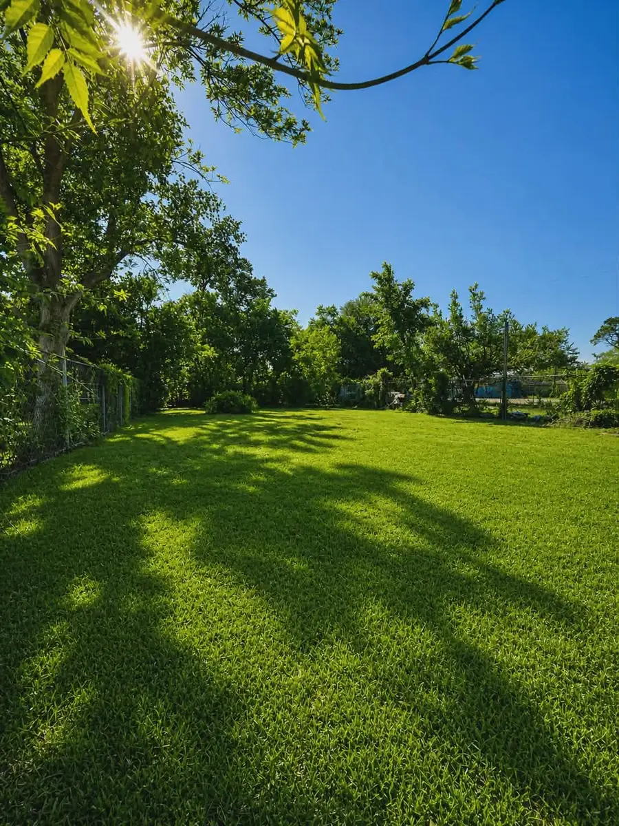 4115 Billingsley Street, Houston, TX 77009 - #3