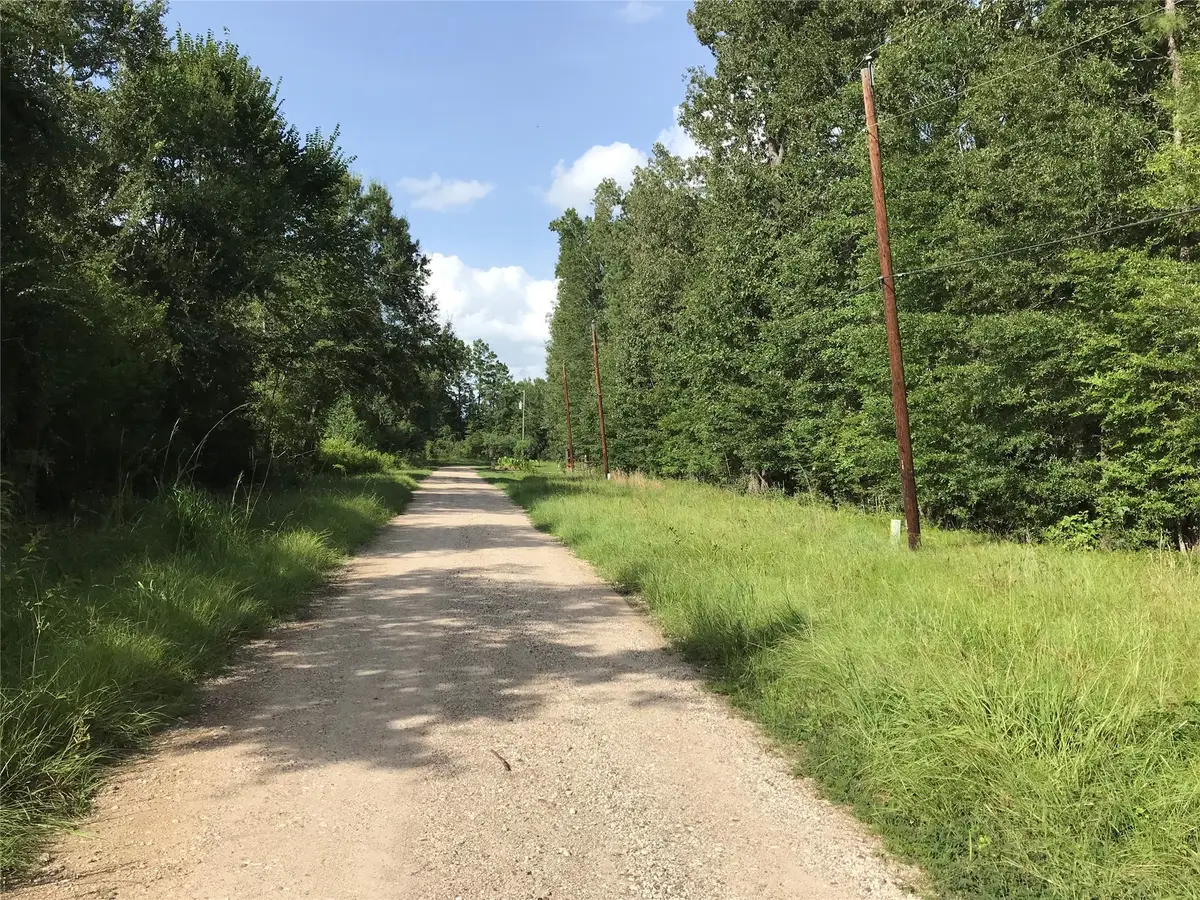 Lot 193 Elmwood Drive, Livingston, TX 77351 - #1