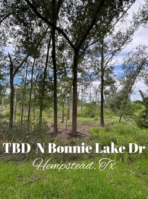 TBD N Bonnie Lake Dr, Hempstead, TX 77445