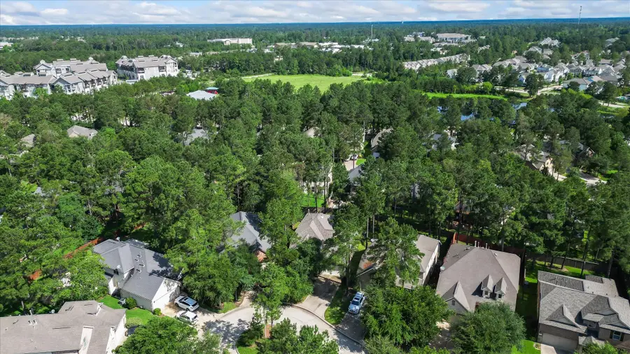 14 Painted Post Place, Spring, TX 77389 - #3
