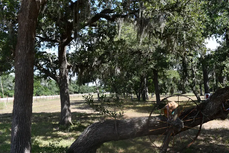 14600 Fm 530, Hallettsville, TX 77964 - #3