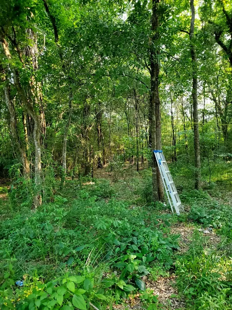 0 Holly Ridge Rd, Porter, TX 77365 - #3