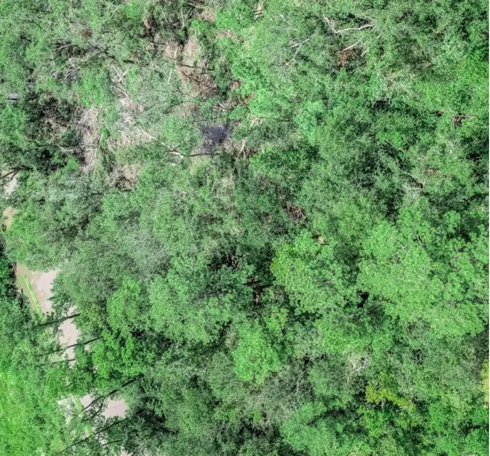 00 E Houston, Houston, TX 77028 - #1