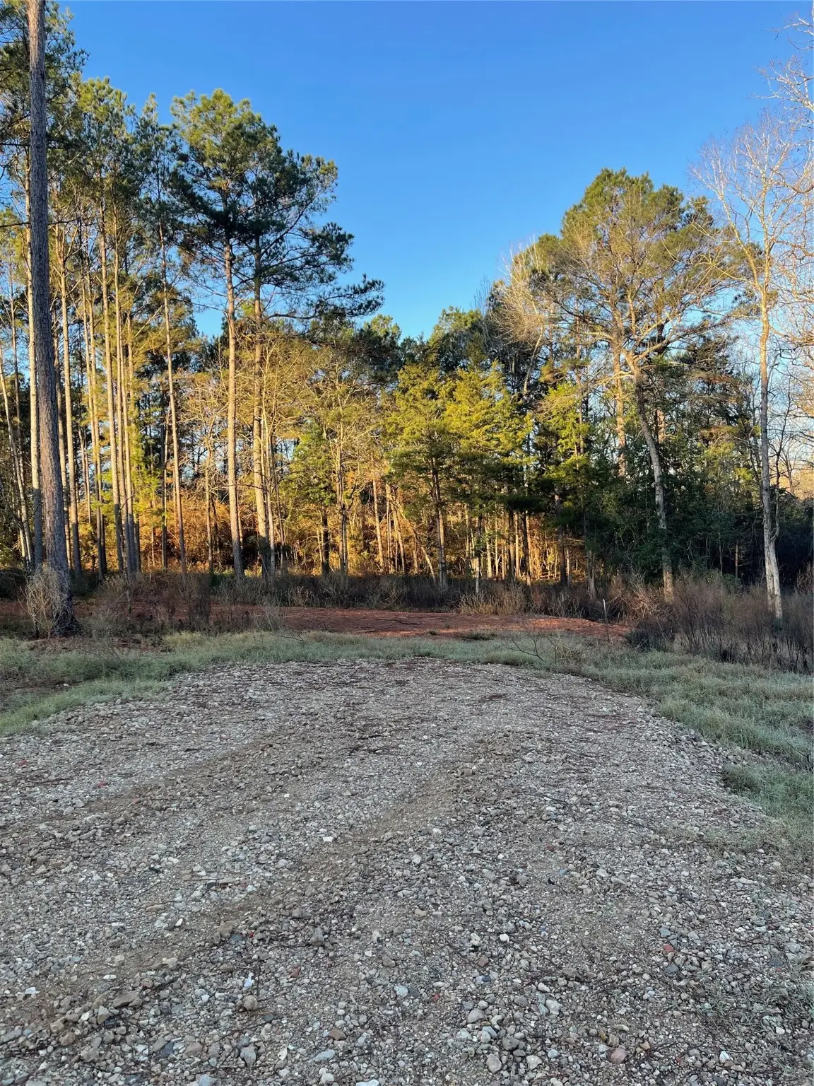 11345 Annie Creek Drive, Willis, TX 77378 - #1