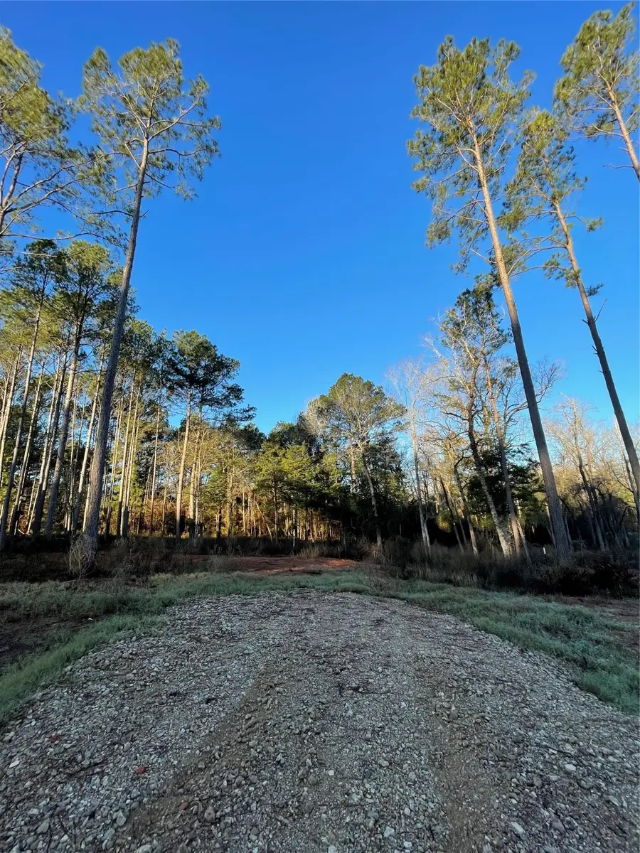 11345 Annie Creek Drive, Willis, TX 77378 - #3