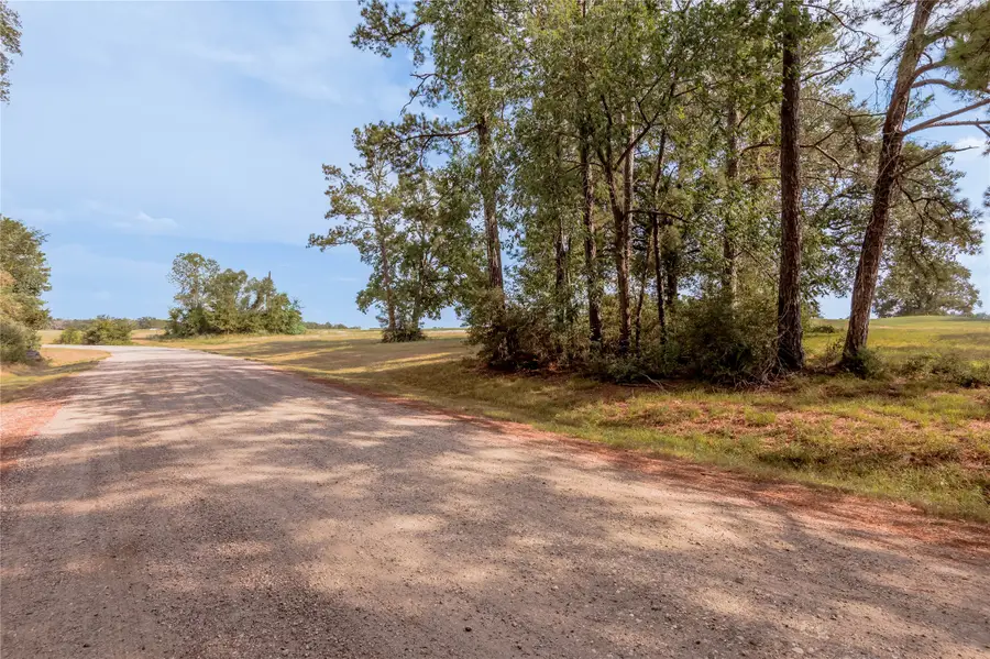 Lot 2C Charleston Street, Trinity, TX 75862 - #2