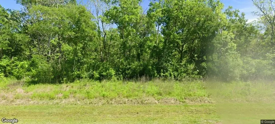 32111 Redfish Trail, Richwood, TX 77515 - #1