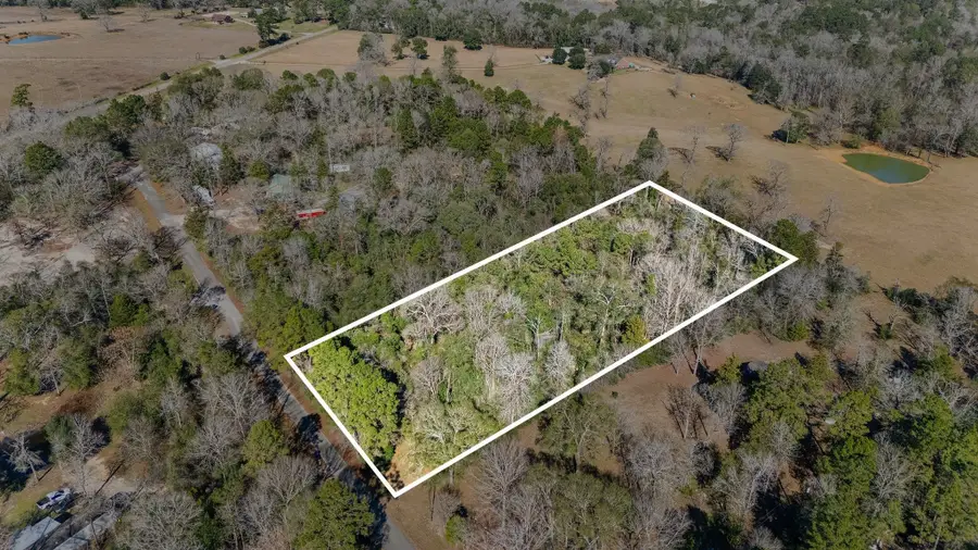 15685 Mckay Road, Willis, TX 77378 - #2