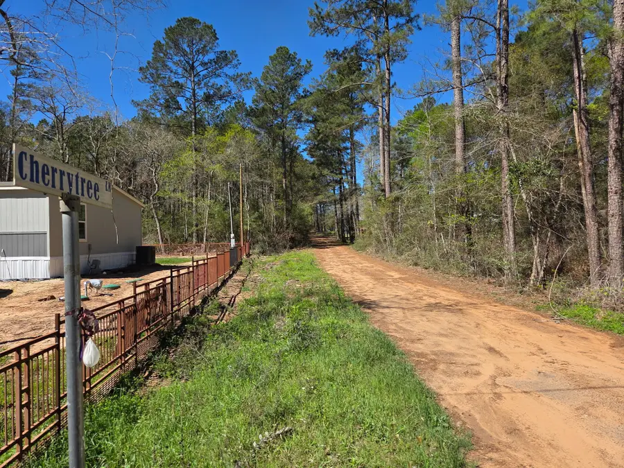 2 Cherry Tree Lane, Plantersville, TX 77363 - #2