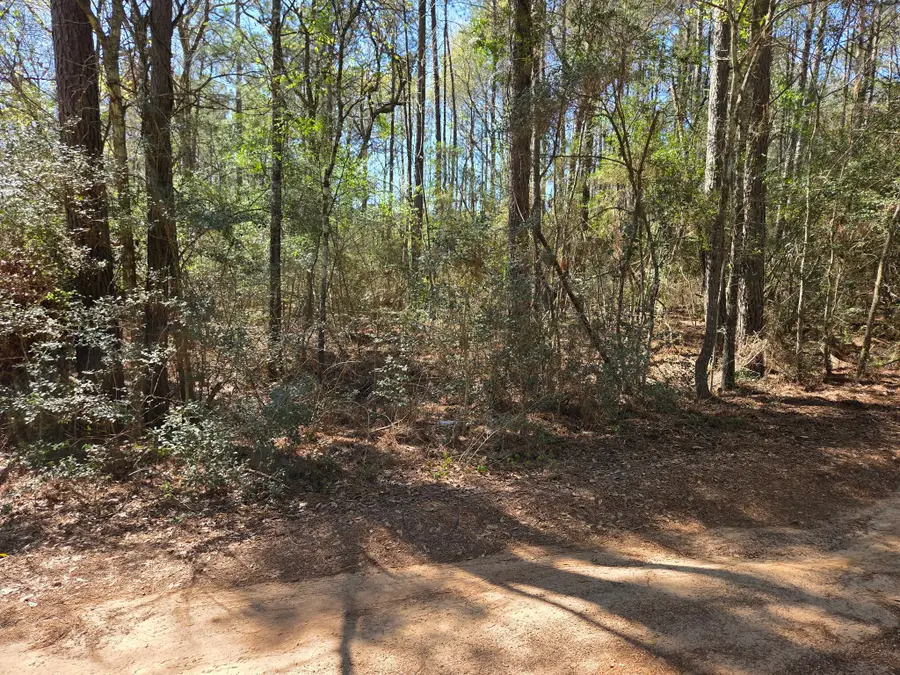 2 Cherry Tree Lane, Plantersville, TX 77363 - #3