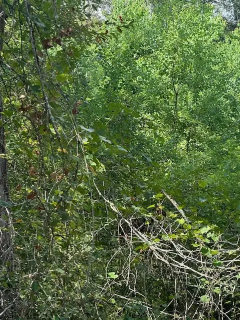 26976 Callie Drive, Hempstead, TX 77445 - #3