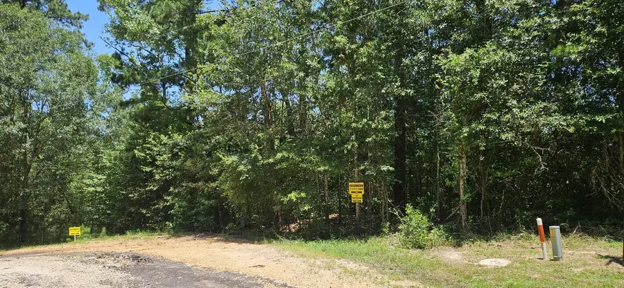 00 Blanks Bend Road Bend, Coldspring, TX 77331 - Image #3