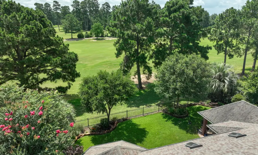 20110 Stormy Pine Lane, Spring, TX 77379 - #3