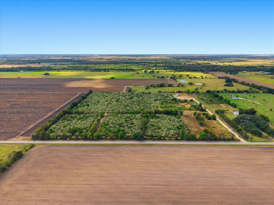 Lot 12 Cow Creek Road, Damon, TX 77430 - Image #3