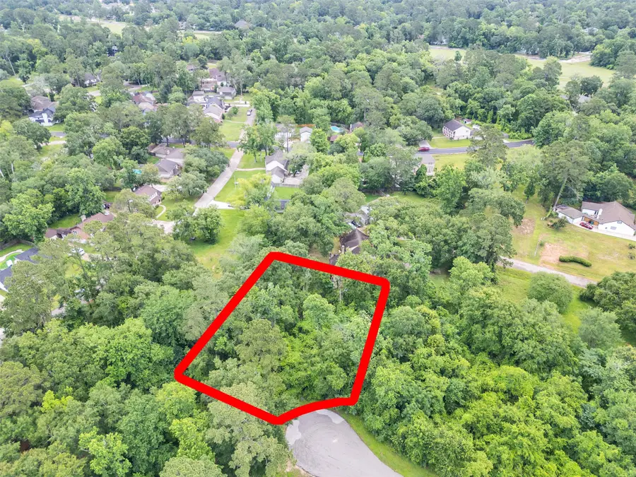 127 Butlers Island Street, Conroe, TX 77302 - #2