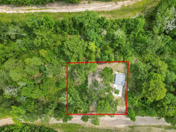 163 Shadywood Drive, Trinity, TX 75862