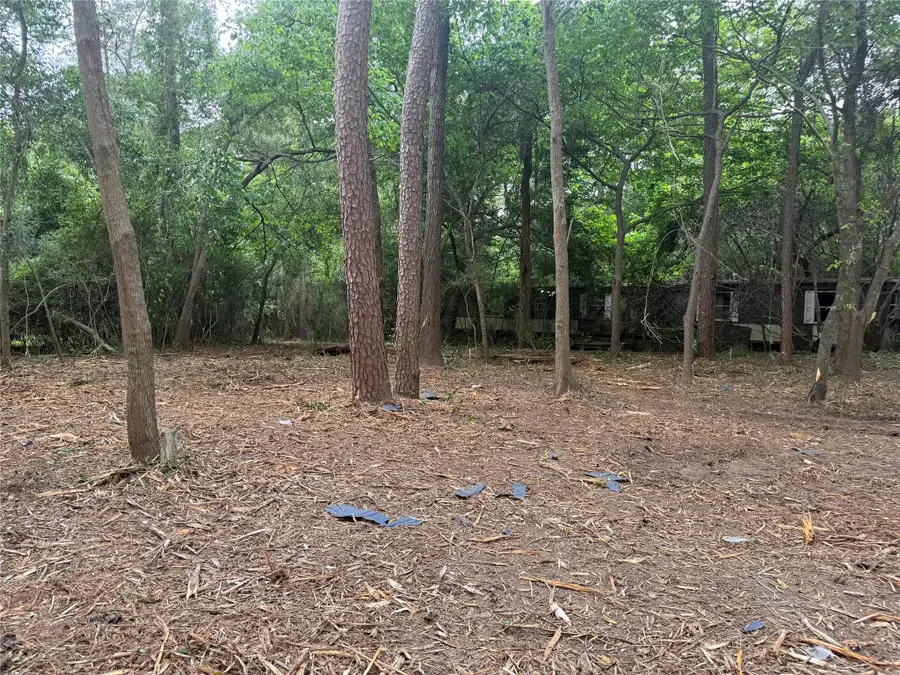 27007 Seahorse Lane, Magnolia, TX 77355 - #2