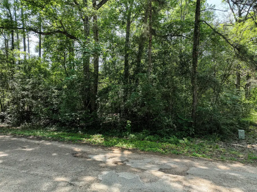 0 Fairway Dr, New Caney, TX 77357 - #2