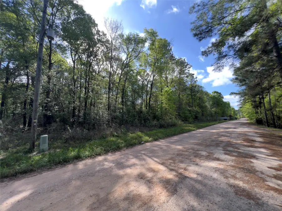 19109 Bedford, New Caney, TX 77357 - #3