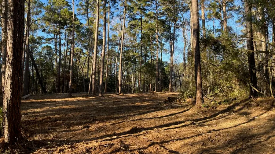 0 Monroe Drive, Livingston, TX 77351 - #3