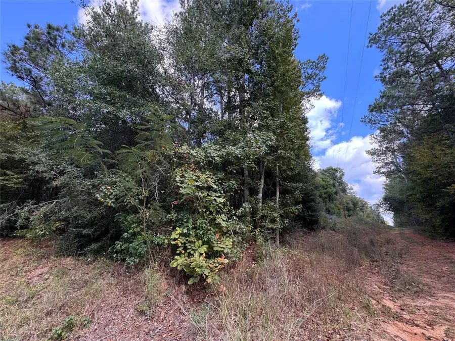 TBD Love Drive, Cleveland, TX 77327 - Image #3