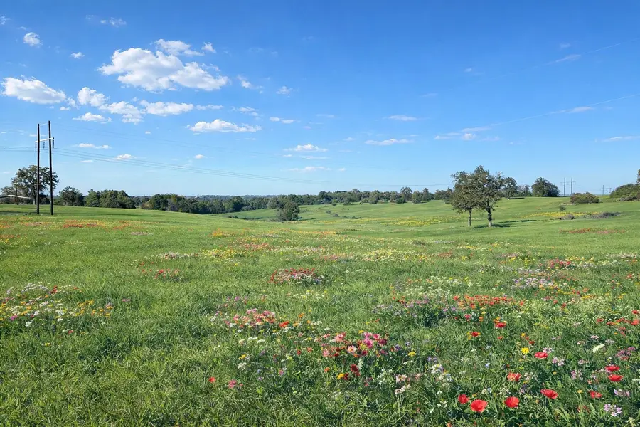 00 W Cr 315 E, Buffalo, TX 75831 - #2