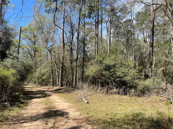 404 Possum Park Rd Road, Houston, TX 77338