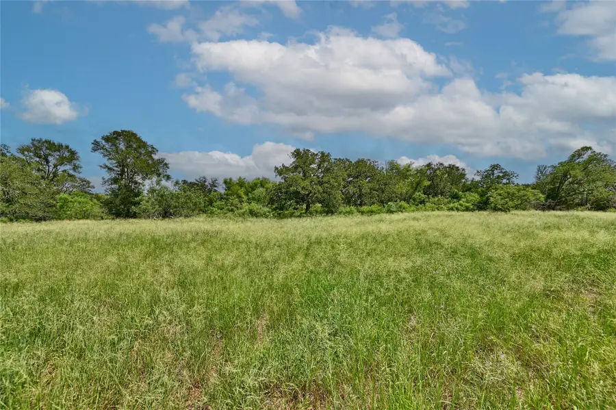 166 Sunny Day Dr, Red Rock, TX 78662 - #2